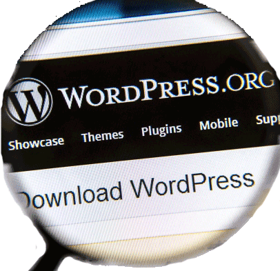 Reliable WordPress Web Hosting